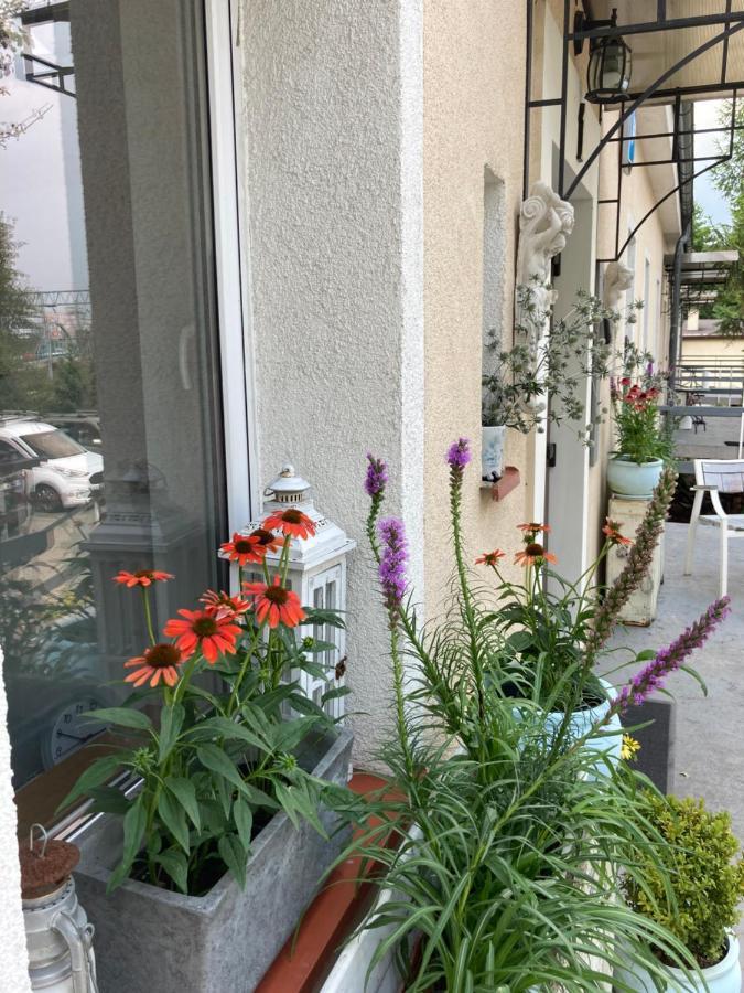 Villa Italiana Pokoje Z Prywatnymi Lazienkami & Odnowa Biologiczna グディニャ エクステリア 写真